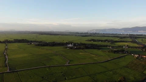 Aerial view of paddy fields and blue sky in Kepala Batas, Penang Stock Footage 228339118