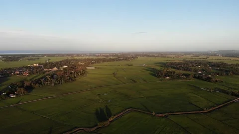 Aerial view of paddy fields and blue sky in Kepala Batas, Penang Stock Footage 228339209