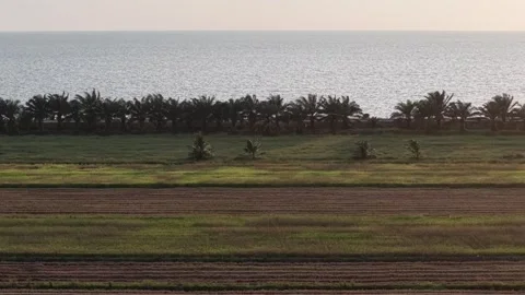 Aerial view of paddy fields and sea at Ban Pecah Stock-Footage 332730916
