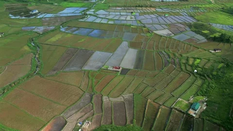 Aerial View of Paddy Fields and Green Valley Near Shillong, Meghalaya Vídeos de archivo 339774669