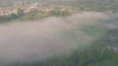 Aerial view of paddy fields covered with mist, Indonesia Stock Footage 296772665