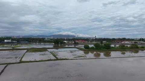 Aerial View Paddy Fields During Water Season Near City Видео 329238863