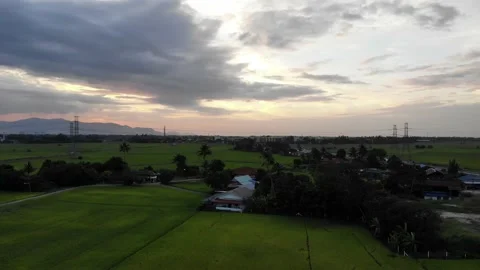 Aerial view of paddy fields in Kepala Batas, Penang Stock Footage 228336232