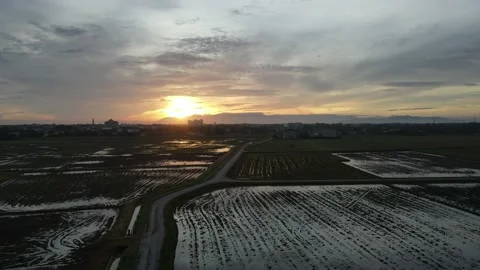 Aerial view of paddy fields at Kepala Batas, Penang Stock Footage 230520252