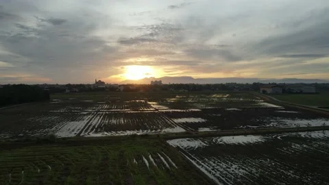 Aerial view of paddy fields at Kepala Batas, Penang Stock Footage 230520826