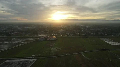 Aerial view of paddy fields at Kepala Batas, Penang Stock Footage 230521843