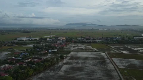 Aerial view of paddy fields at Kepala Batas, Penang Stock Footage 230522034
