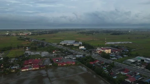 Aerial view of paddy fields at Kepala Batas, Penang Stock Footage 230522401