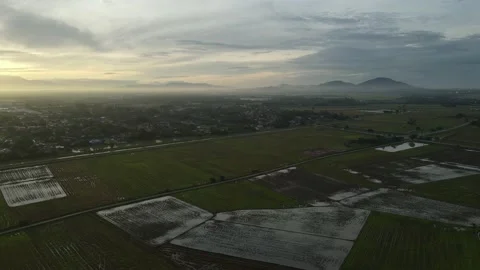 Aerial view of paddy fields at Kepala Batas, Penang Stock Footage 230522637