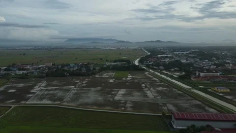 Aerial view of paddy fields at Kepala Batas, Penang Stock Footage 230522799