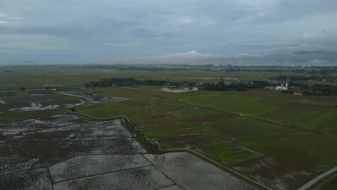 Aerial view of paddy fields at Kepala Batas, Penang Stock Footage 230523212