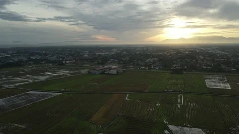 Aerial view of paddy fields at Kepala Batas, Penang Stock Footage 230523349