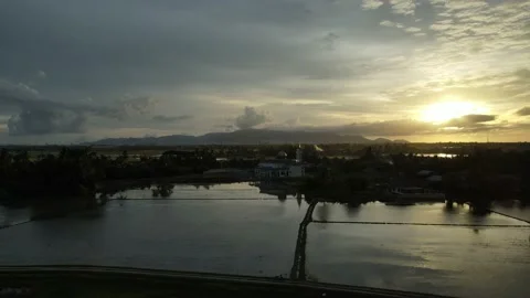 Aerial view of paddy fields at Kepala Batas, Penang Stock Footage 230939932