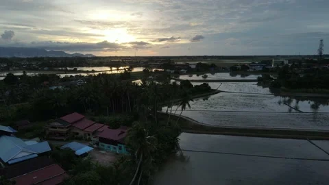 Aerial view of paddy fields at Kepala Batas, Penang Stock Footage 230940684