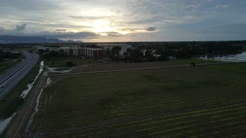Aerial view of paddy fields at Kepala Batas, Penang Stock Footage 230940771