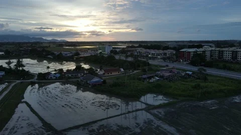 Aerial view of paddy fields at Kepala Batas, Penang Stock Footage 230941223