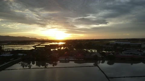 Aerial view of paddy fields at Kepala Batas, Penang Stock Footage 230941244