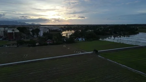 Aerial view of paddy fields at Kepala Batas, Penang Stock Footage 230941255