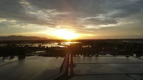 Aerial view of paddy fields at Kepala Batas, Penang Stock Footage 230941376