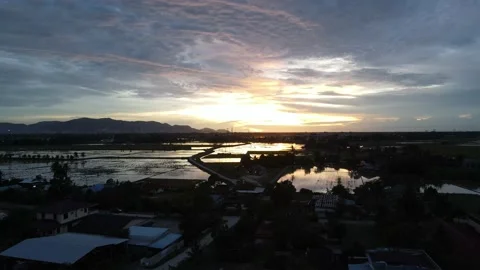 Aerial view of paddy fields at Kepala Batas, Penang Stock Footage 230941647