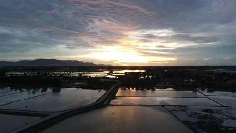 Aerial view of paddy fields at Kepala Batas, Penang Stock Footage 230941657