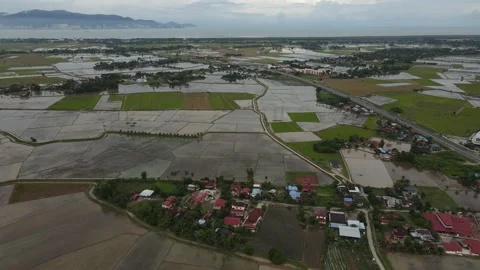 Aerial view of paddy fields at Kepala Batas, Penang Stock Footage 231013677
