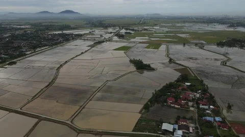 Aerial view of paddy fields at Kepala Batas, Penang Stock Footage 231013679