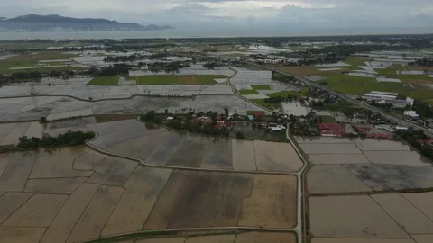 Aerial view of paddy fields at Kepala Batas, Penang Stock Footage 231013686