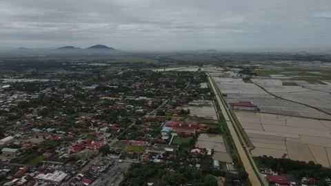 Aerial view of paddy fields at Kepala Batas, Penang Stock Footage 231014232