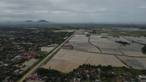 Aerial view of paddy fields at Kepala Batas, Penang Stock Footage 231014244