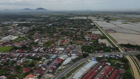 Aerial view of paddy fields at Kepala Batas, Penang Stock Footage 231014407