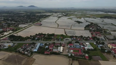 Aerial view of paddy fields at Kepala Batas, Penang Stock Footage 231014428
