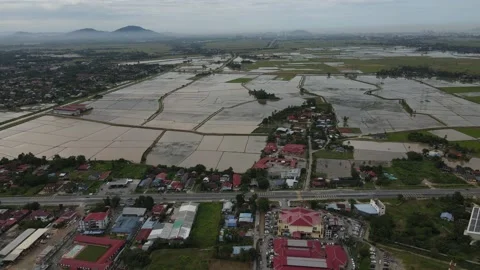Aerial view of paddy fields at Kepala Batas, Penang Stock Footage 231014429
