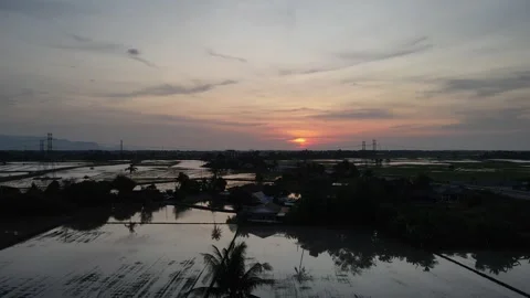 Aerial view of paddy fields at Kepala Batas, Penang Stock Footage 258519636