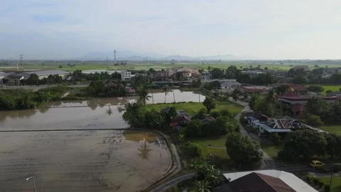 Aerial view of paddy fields over Kepala Batas, Penang Stock Footage 258881850