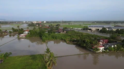 Aerial view of paddy fields over Kepala Batas, Penang Stock Footage 258881852