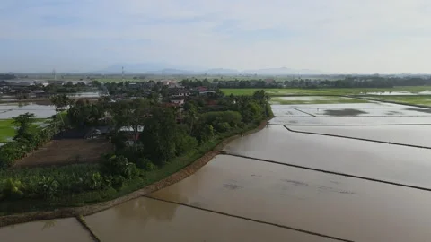 Aerial view of paddy fields over Kepala Batas, Penang Stock Footage 258882081
