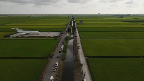 Aerial view of paddy fields at Sekinchan, Sabak Bernam, Selangor Stock Footage 259305613