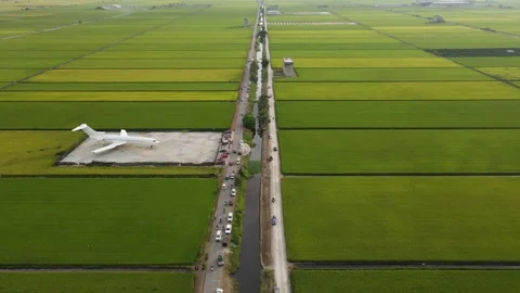 Aerial view of paddy fields at Sekinchan, Sabak Bernam, Selangor Stock Footage 259305743