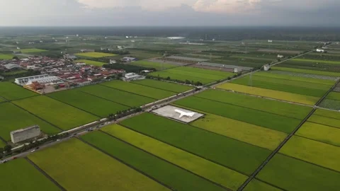 Aerial view of paddy fields at Sekinchan, Sabak Bernam, Selangor Stock Footage 259306338