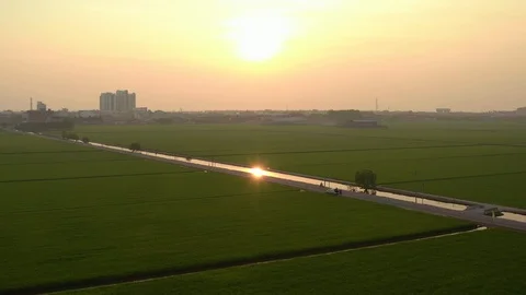 Aerial view of paddy fields surrounded by buildings at sunset, Malaysia Stock Footage 117049641