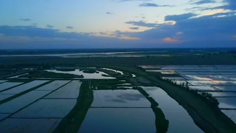 Aerial view of paddy fields in the Yellow River Plain under the setting sun. Stock Footage 293338285
