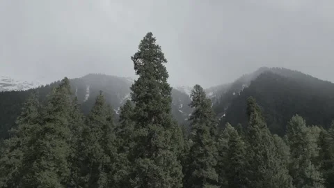 Aerial view of Pahalgam pine forest and Himalayan mountains in Kashmir India 库存影片 334714307