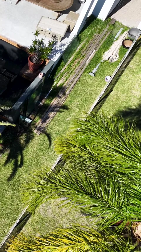 Aerial View of Palm Tree and Green Lawn in Backyard Garden Stock Footage 339122157