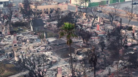 Aerial view of palm tree damaged by fire in Altadena neighborhood of Los Angeles Stock Footage 301645280
