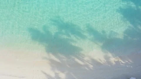 Aerial View of Palm Tree Shadows on Tropical Beach and Turquoise Water Stock Footage 309285957