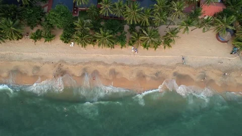 Aerial view of palm trees and waves on a beach, surrounded by natural landscape Stock Footage 273052830