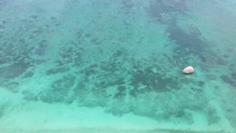 Aerial view of palm trees on the beach surrounded by turquoise waters. Video stock 166673292