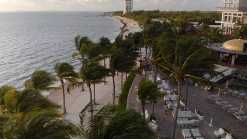 Aerial view of palm trees blowing in the wind next to a beachfront resort near Stock Footage 104090052