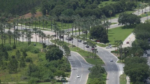 Aerial view palm trees lining highway traffic in Florida Stock Footage 95980916